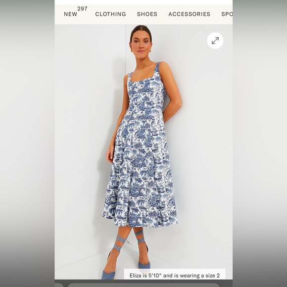 STAUD Dresses & Skirts - STAUD blue toile wells dress size 8